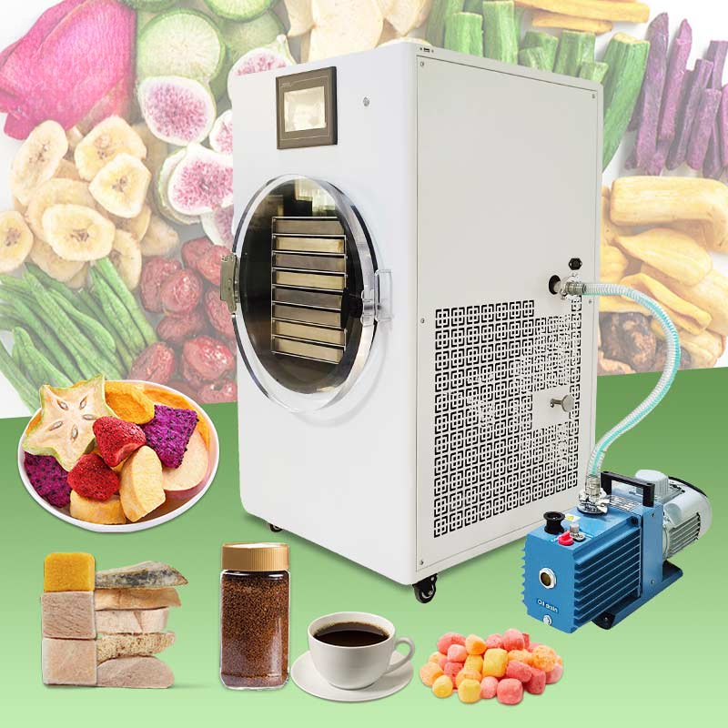 Pengering Beku Mini Liofilizad - Dried Fruit ulasan dan harga